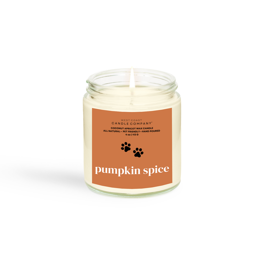 Pumpkin Spice Mini Candle