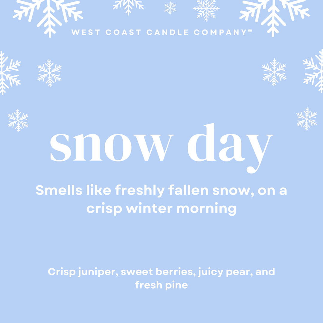 Snow Day Wax Melts