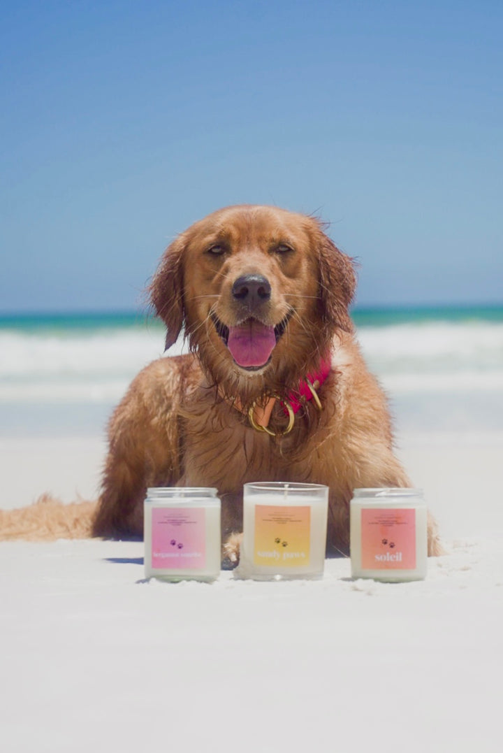 Sandy Paws Candle