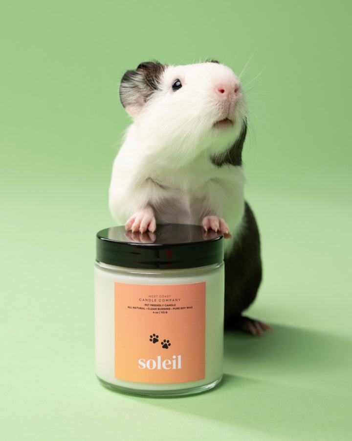 Soleil Small Candle