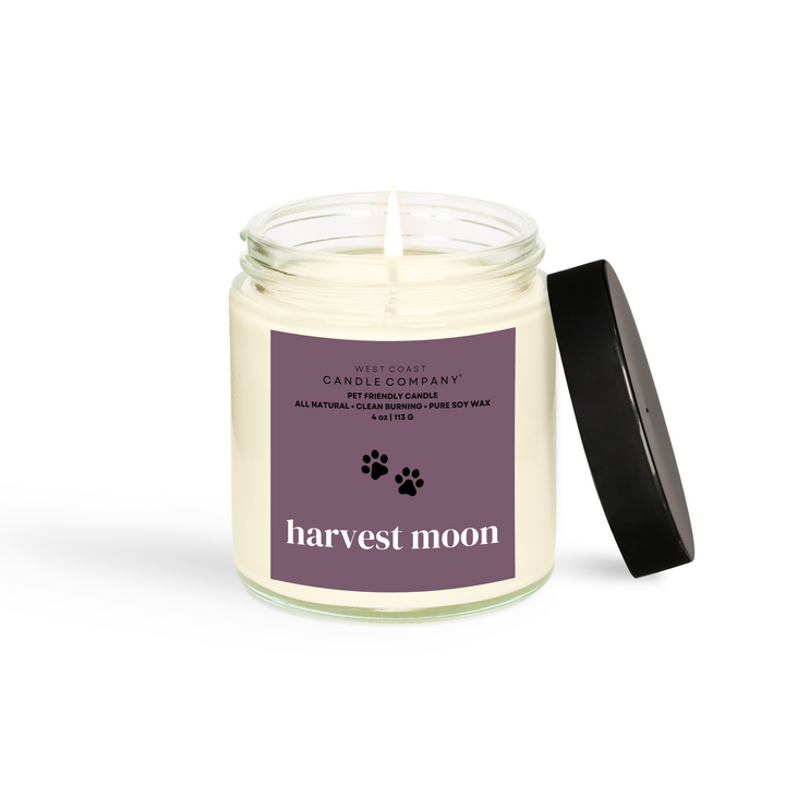 Harvest Moon Small Candle