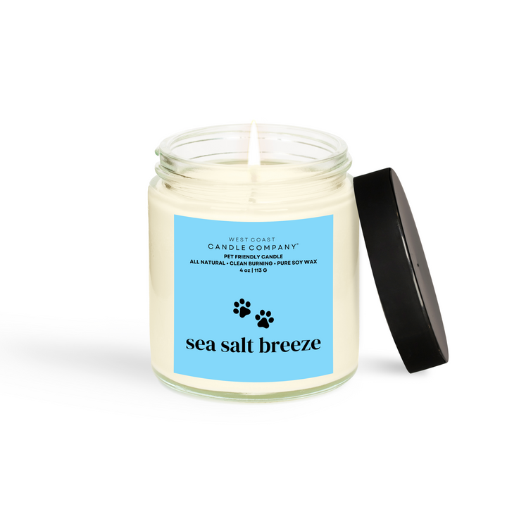 Sea Salt Breeze Small Candle